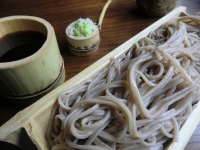 写真1