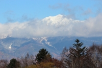 写真1