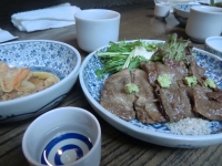 写真1