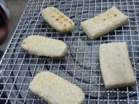 写真1