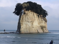 写真2