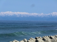 写真2