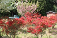 写真1