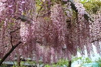 写真2