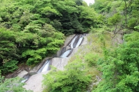 写真2